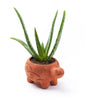 Rakshana Turtle Plant Pot -  Terracotta