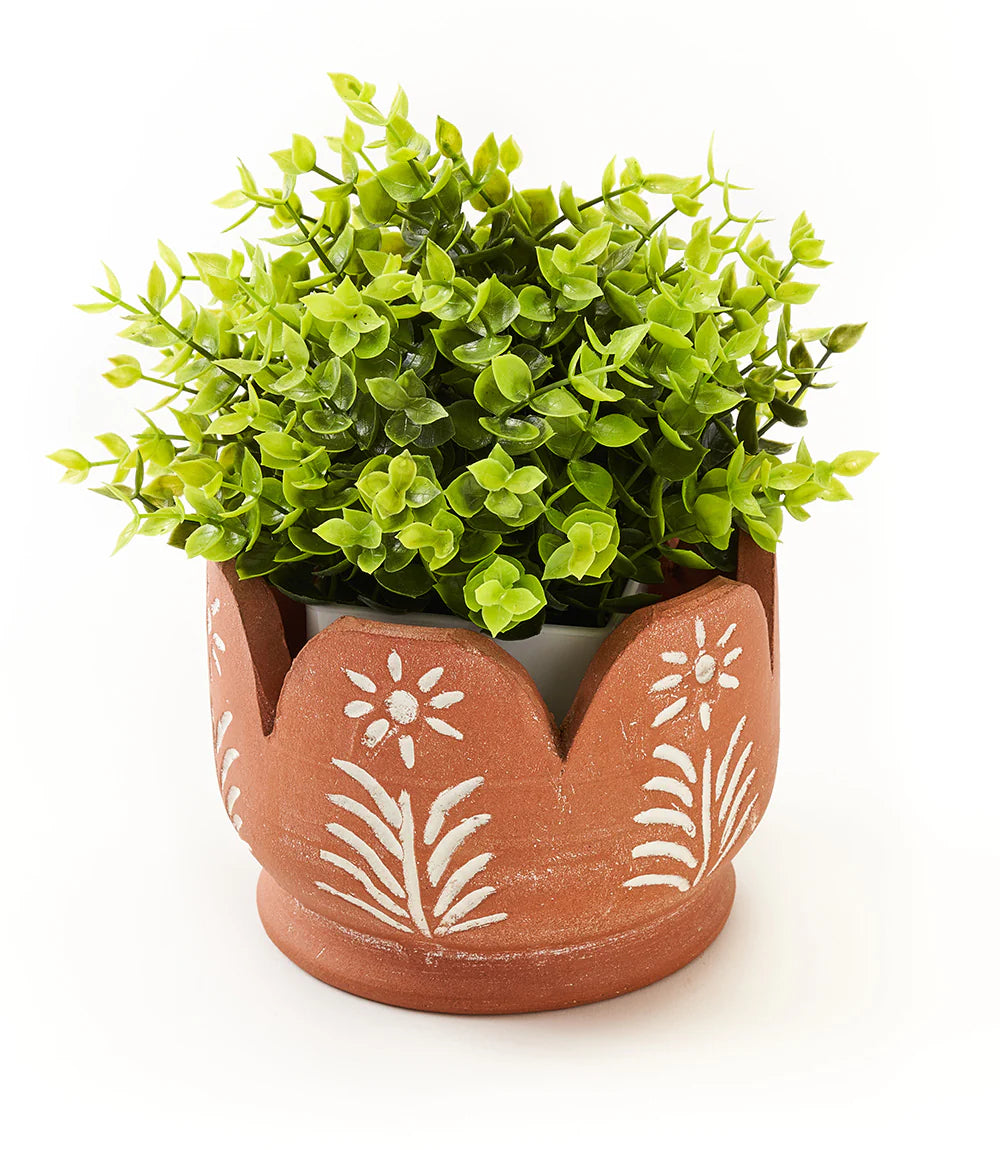 Sustainable Outdoor Oasis Set