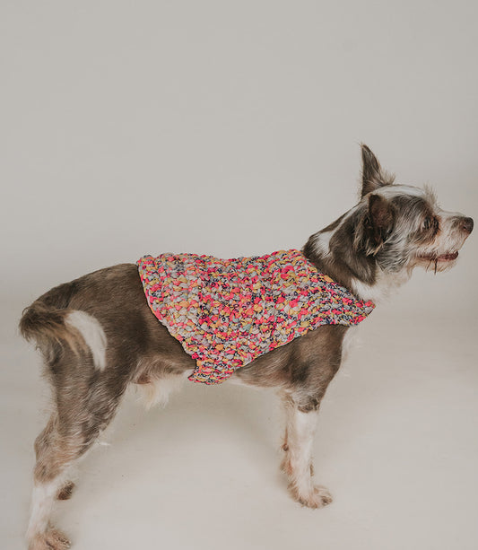 Ishivatva Dog Sweater - Assorted Upcycled Sari Fabric