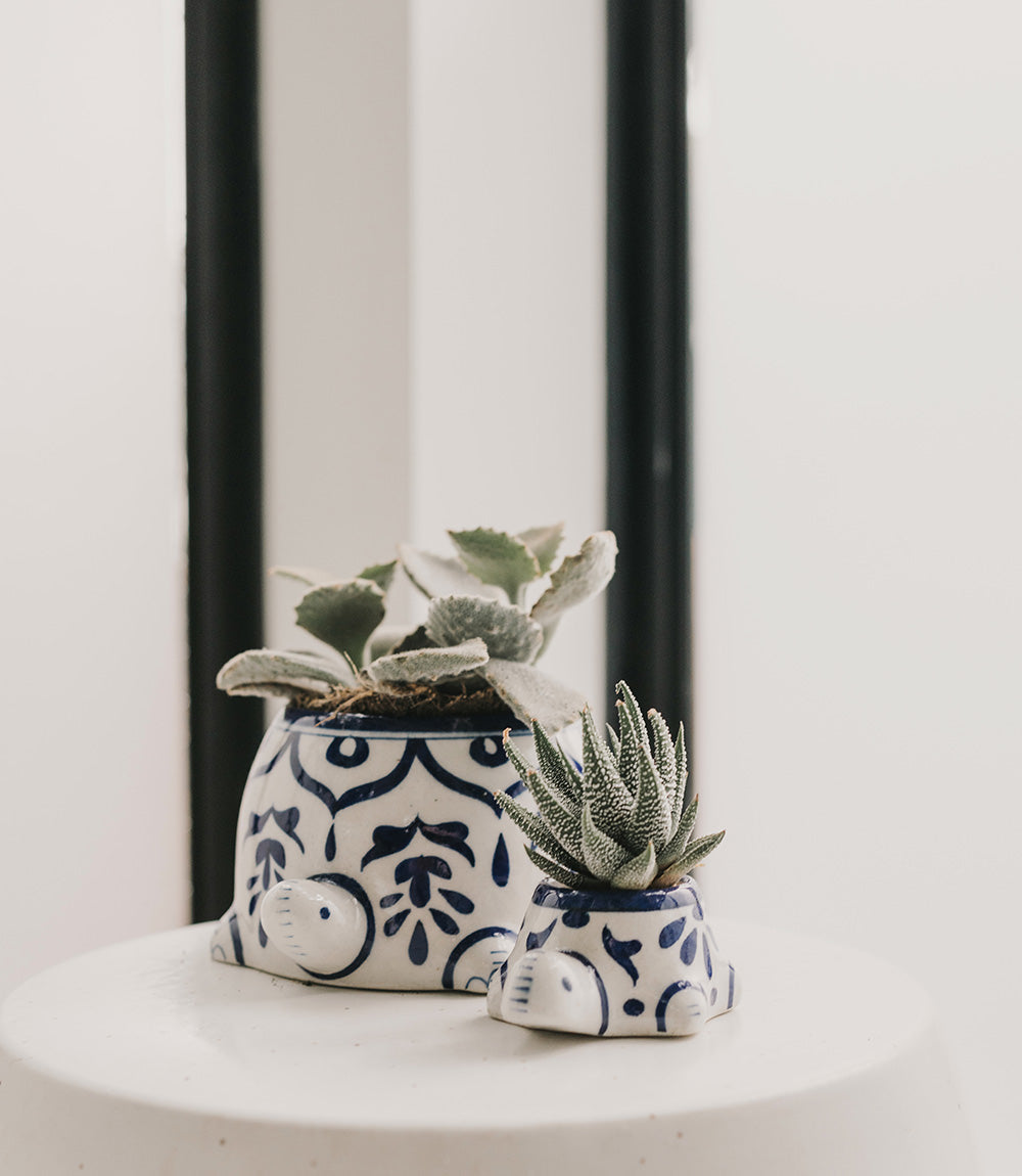 Lalita Baby Turtle Mini Succulent Planter - White, Blue Hand Painted