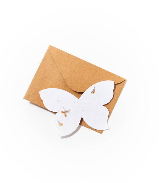 Amala Butterfly Seed Paper Note Cards (Set of 8) - Plantable