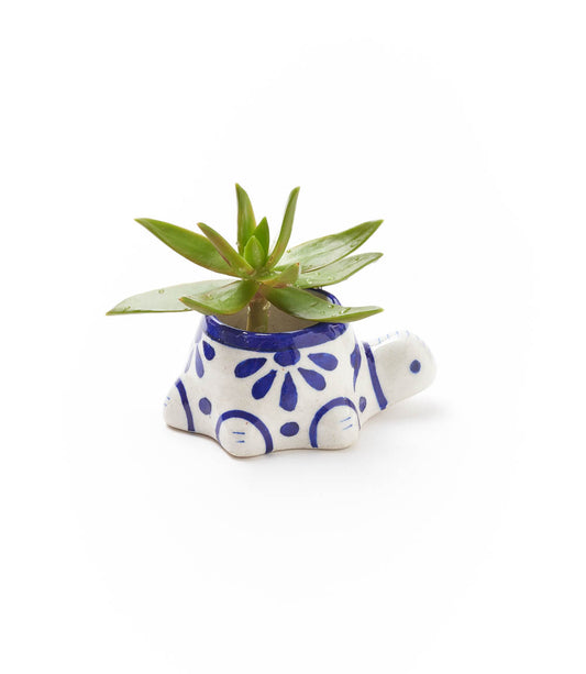 Lalita Baby Turtle Mini Succulent Planter - White, Blue Hand Painted