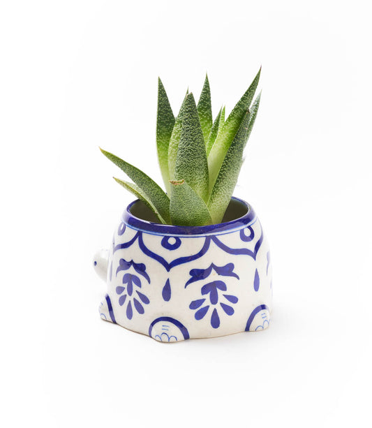 Lalita Mama Turtle Succulent Planter - White, Blue Hand Painted