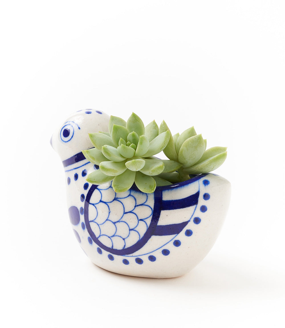 Lalita Bird Succulent Planter - White, Blue Hand Painted