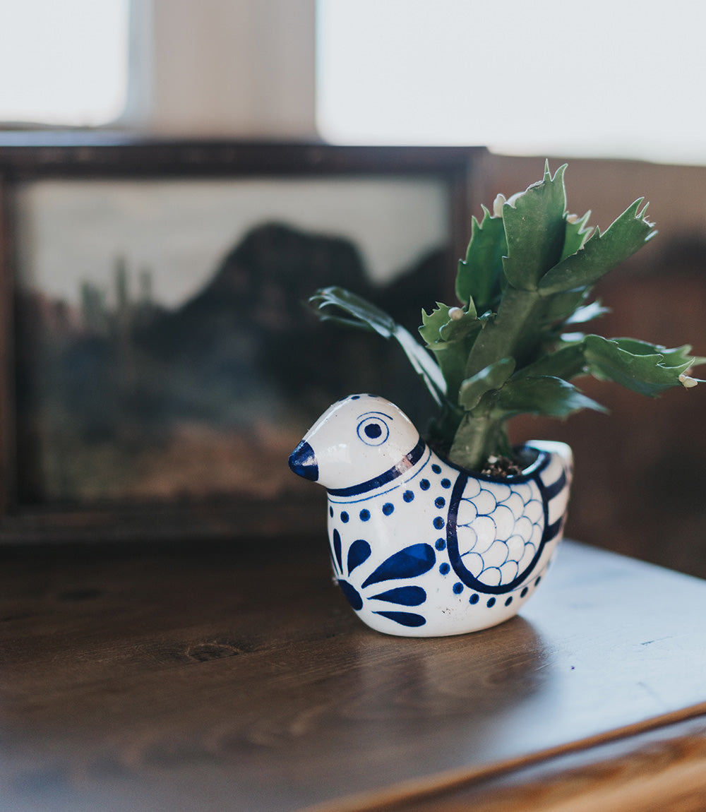 Lalita Bird Succulent Planter - White, Blue Hand Painted