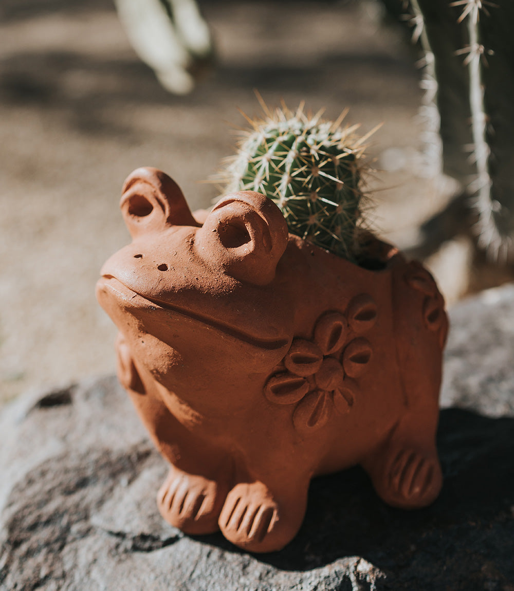 Rakshana Frog Plant Pot - Terracotta