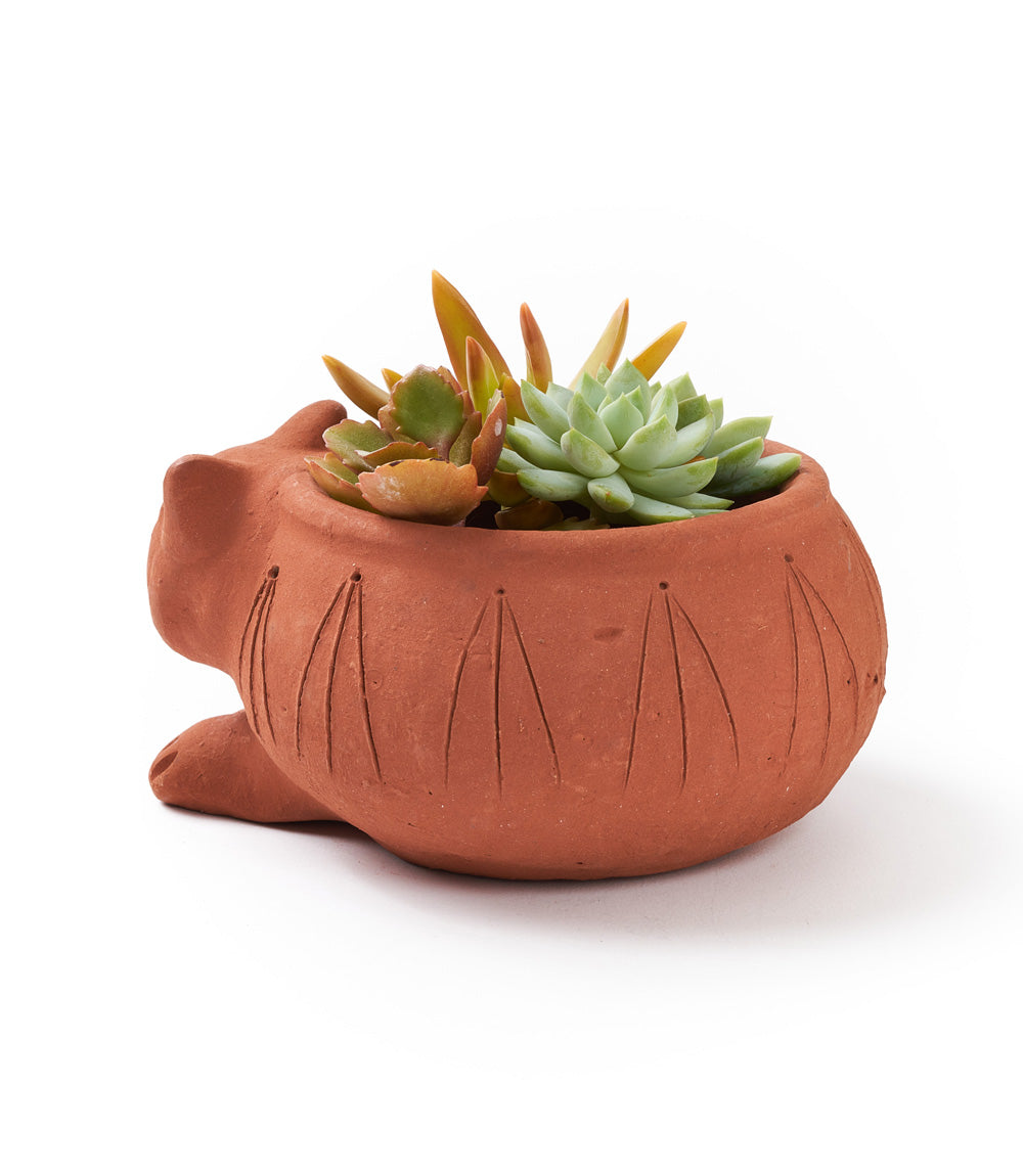 Rakshana Cat Plant Pot - Terracotta