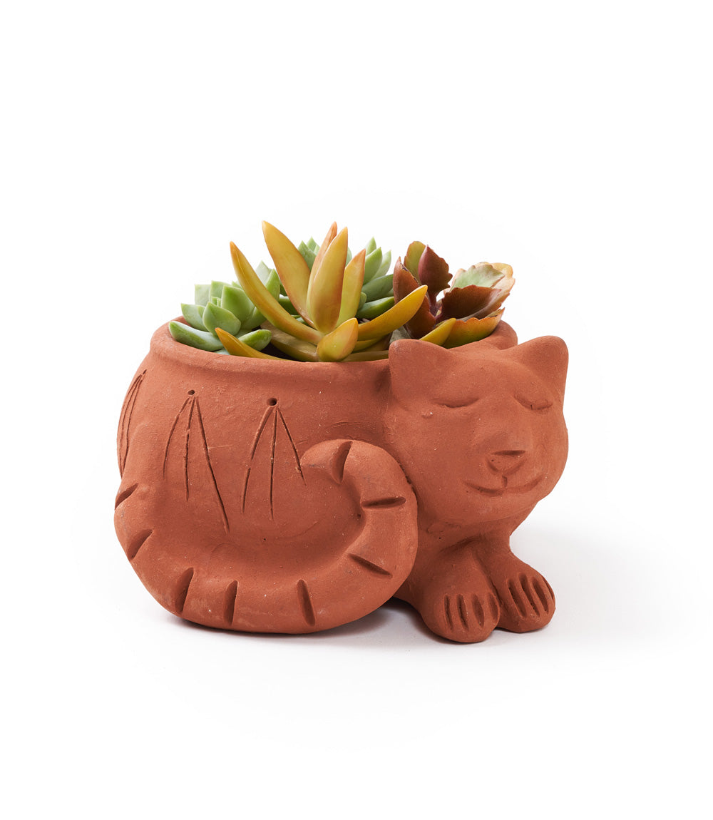 Rakshana Cat Plant Pot - Terracotta