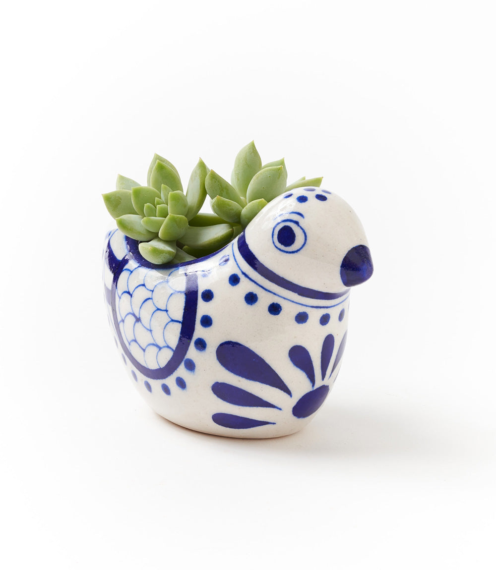 Lalita Bird Succulent Planter - White, Blue Hand Painted