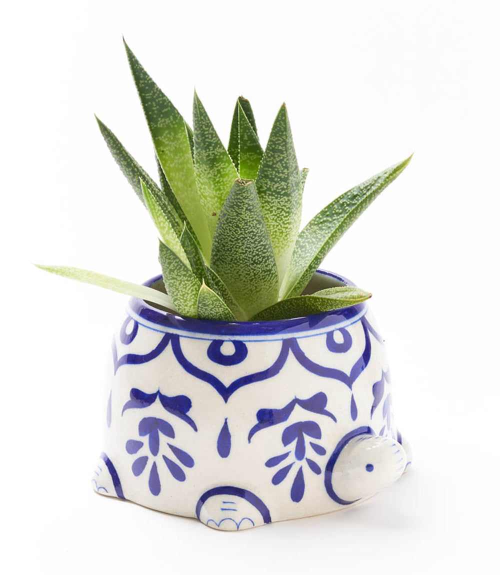 Lalita Mama Turtle Succulent Planter - White, Blue Hand Painted