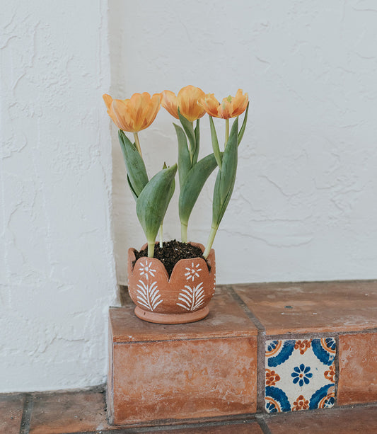 Vasanta Petals Planter with Drainage - Terracotta