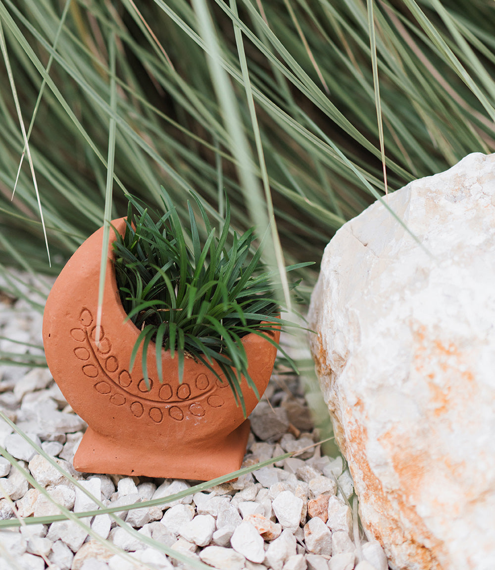 Rakshana Cresecent Moon Plant Pot - Terracotta