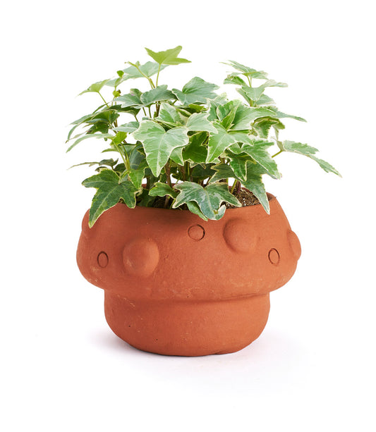 Rakshana Mushroom Plant Pot - Terracotta