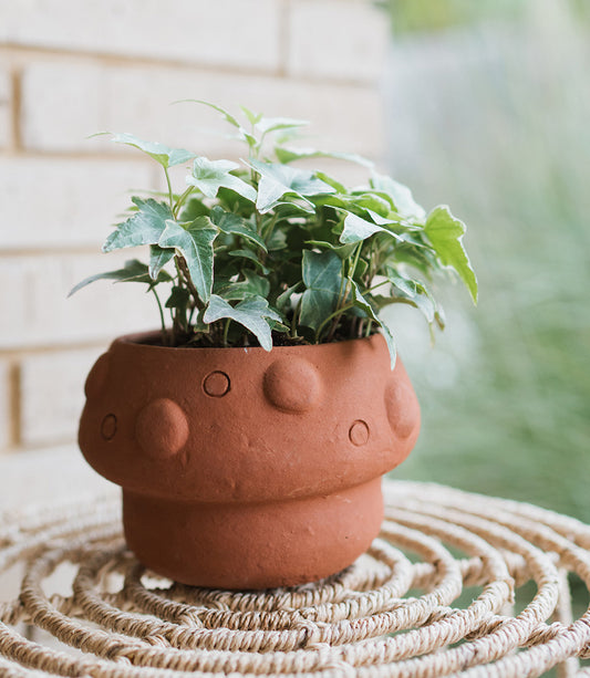 Rakshana Mushroom Plant Pot - Terracotta