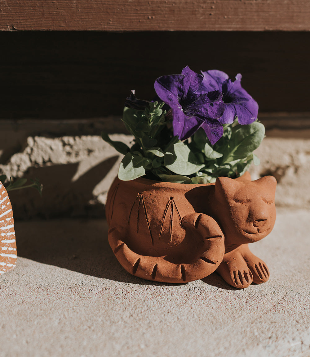 Rakshana Cat Plant Pot - Terracotta