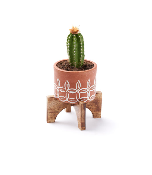 Daksha Terracotta Plant Pot with Wood Stand - Small