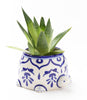 Lalita Mama Turtle Succulent Planter - Hand Painted Ceramic